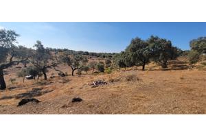 Jachtcabine met 3ha land /Extremadura/Madroñera/250.000€