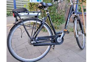Elektrische Fiets, Multicycle