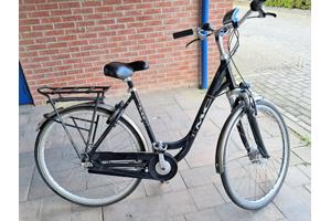 Elektrische Fiets, Multicycle