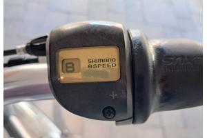 Elektrische Fiets, Multicycle