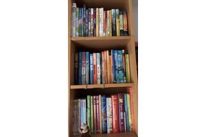 Tienerboeken leeftijd 9 plus 10 plus 12 plus leesboeken