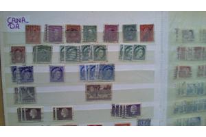 7 Insteekalbums 6,5 kg