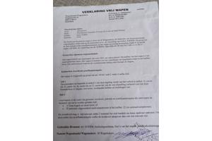 Te koop salon pistool 6mm