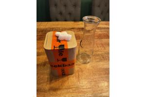 Vijver met Algen? Poelslakken en Posthoornslakken oplossing