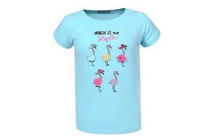 Glo-Story t-shirt flamingo's turquoise 110
