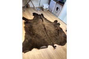 Bizonhuid (origineel uit America van de Indianen)