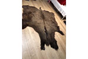 Bizonhuid (origineel uit America van de Indianen)