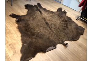 Bizonhuid (origineel uit America van de Indianen)