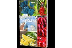 Special Fruits (photo ebook)