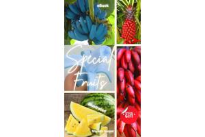 Special Fruits (photo ebook)