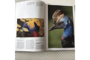 Boek van Indonesi&#xEB; prachtig en uniek land om te reizen TOP