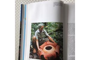 Boek van Indonesi&#xEB; prachtig en uniek land om te reizen TOP