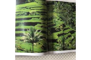 Boek van Indonesi&#xEB; prachtig en uniek land om te reizen TOP