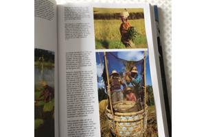 Boek van Indonesi&#xEB; prachtig en uniek land om te reizen TOP