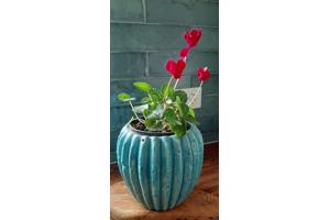 Cifre ceramica drop emerald wandtegel 7,5x30 cm glans groen