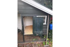 Gratis Kippenhok- te renoveren