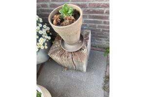 gratis eiken blokken met duddah beeld