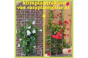 Plantensteunen  Verticaal tuinieren Klimplanten