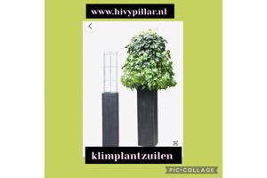 Plantensteunen  Verticaal tuinieren Klimplanten