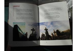 Tom Lanoye  -  Stadsgedichten