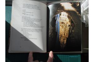 Tom Lanoye  -  Stadsgedichten