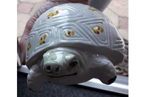 Spaarpot schildpad  ontzettend leuk gedecoreerd van keramiek