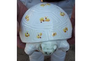 Spaarpot schildpad  ontzettend leuk gedecoreerd van keramiek