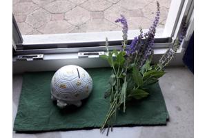 Spaarpot schildpad  ontzettend leuk gedecoreerd van keramiek