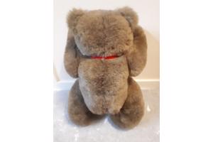 Speelgoed beer, onbespeeld