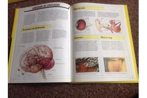 Boeken ; Onze Wereld Vandaag ; 16 Prachtige boeken, leerzaam