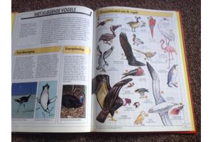 Boeken ; Onze Wereld Vandaag ; 16 Prachtige boeken, leerzaam