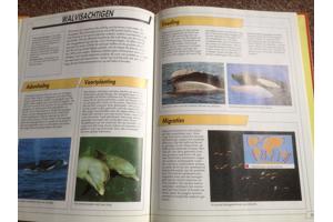 Boeken ; Onze Wereld Vandaag ; 16 Prachtige boeken, leerzaam