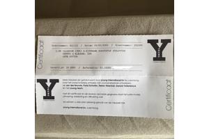 Gelderland Bank Illusion Jan des Bouvries