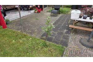 ± 20m² klinkers en tegels