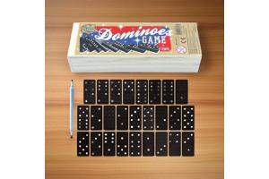 Klassieke Domino spel in houten doos bordspel