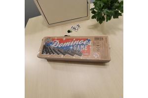 Klassieke Domino spel in houten doos bordspel
