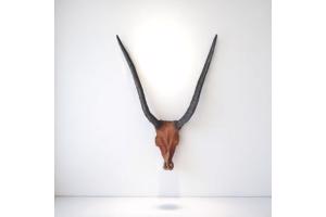 dierenkop bruin grijs 80x45x31cm