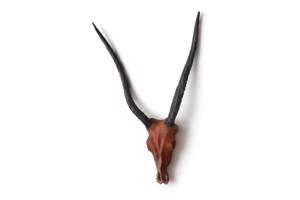 dierenkop bruin grijs 80x45x31cm