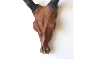 dierenkop bruin grijs 80x45x31cm