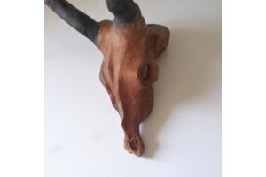 dierenkop bruin grijs 80x45x31cm