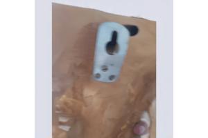 dierenkop bruin grijs 80x45x31cm