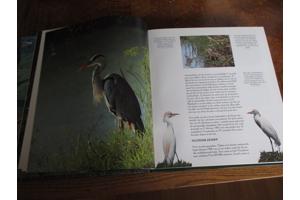 Natuur in België  -  Vijvers en Moerassen