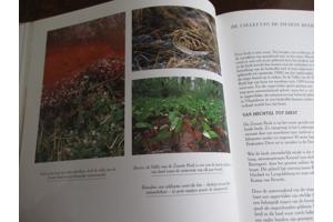 Natuur in België  -  Vijvers en Moerassen