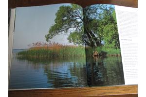 Natuur in België  -  Vijvers en Moerassen