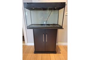 Aquarium en glazen hokken voor knaagdieren of reptielen