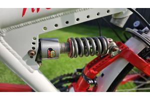 Prachtige RIDLEY THUNDER 2 mountainbike tandem