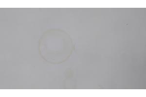 Grote witte tafel met x-poten (220 x 100)