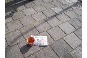 TEKOOP Vrijstaand Gezins/ Senior Wooning NES Aan Vaarwater e