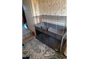 Cavia kooi met twee verdiepingen