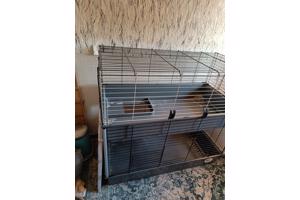 Cavia kooi met twee verdiepingen
